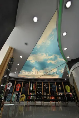 3d Stretch Ceiling