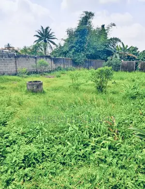 506sqm of Dry Land for Sale at Ajangboju Estate Along Kolapo Ishola