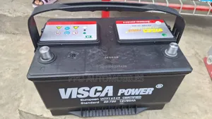 12v 80ah Visca Power Executive (Basket) Battery