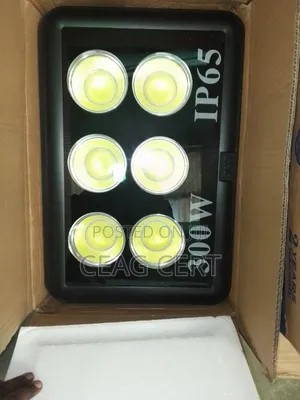 300w Flood Light