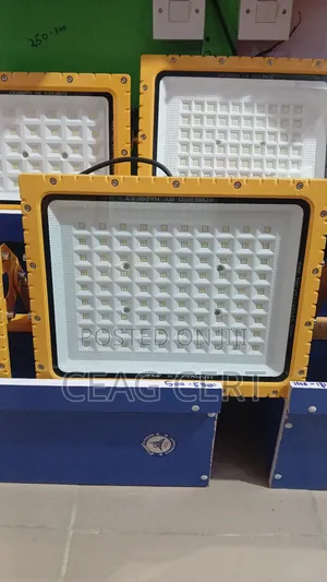 Ex Flood Light