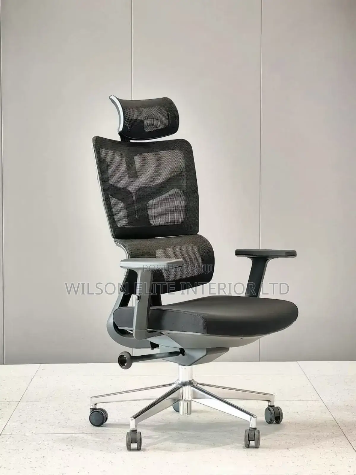 Economic Executive Office Mash Chair.