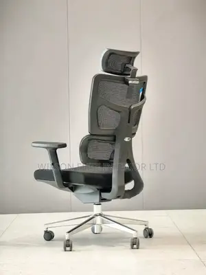 Economic Executive Office Mash Chair.