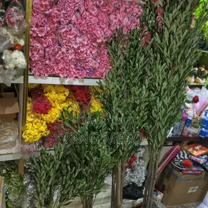 Olive Plant Available in 4 Sizes