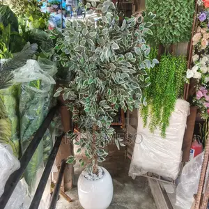 Artificial Tree Plant Available