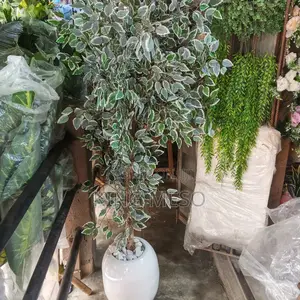 Artificial Tree Plant Available