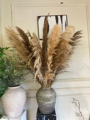 Pampas Grass and Dried Flowers