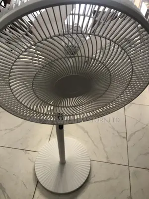 Electric Standing Fan With Remote