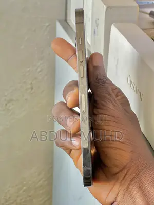 Apple iPhone 12 Pro Max 256 GB Silver