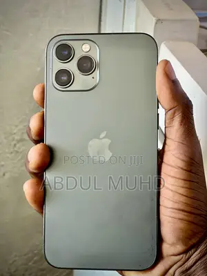 Apple iPhone 12 Pro Max 256 GB Silver