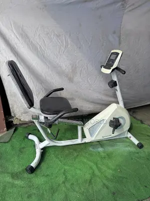 Egojin Recumbent Bike