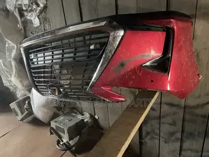 Rx250 2918 Complete Bumper