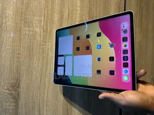 Apple iPad Pro 12.9 (2021) 256 GB Gray