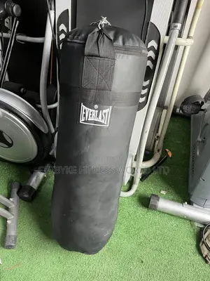 Evalast Punching Bag