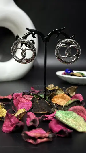 Dual Ring Silver Earring