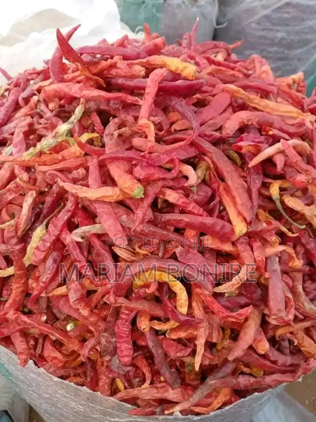Long Chili Pepper