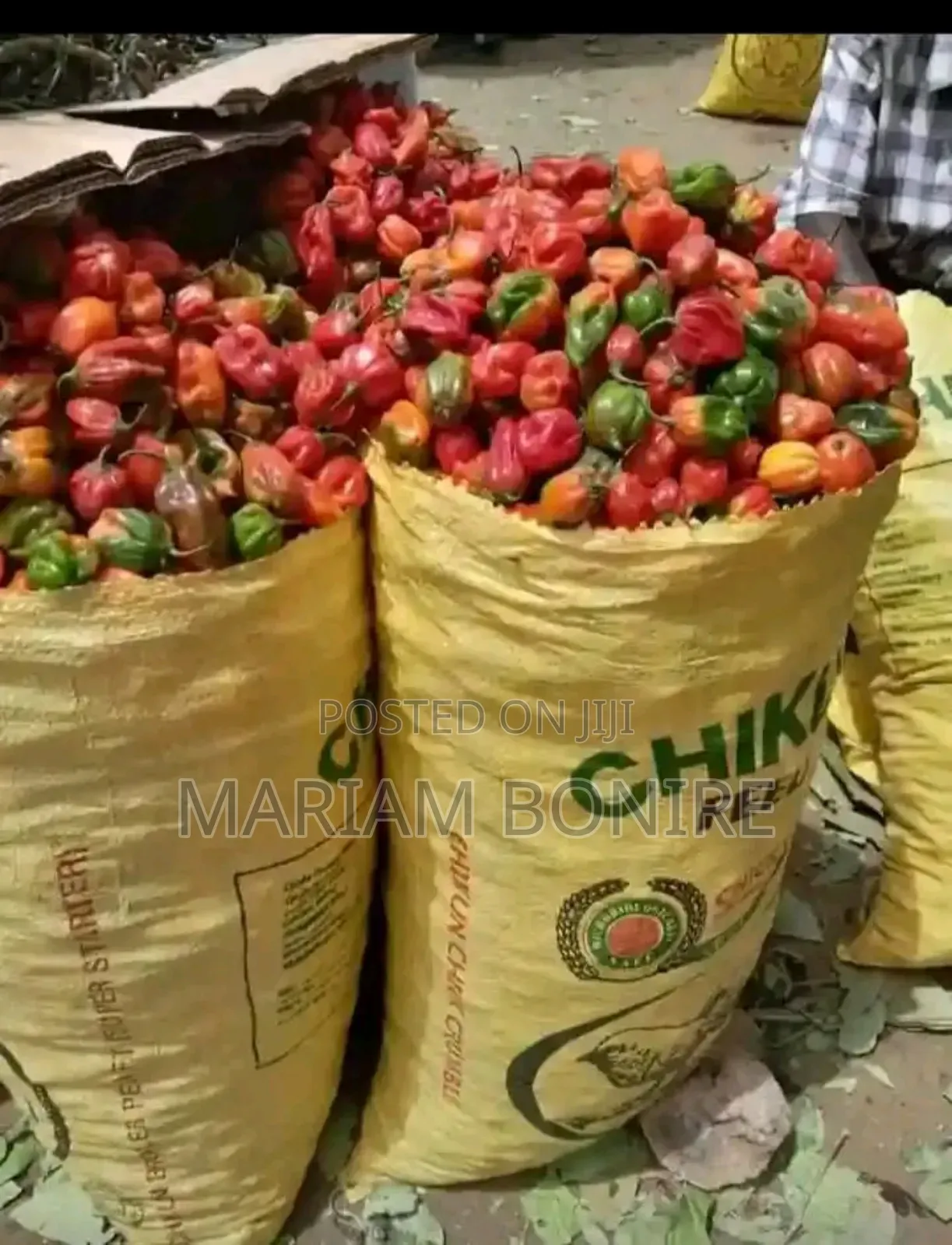 Fresh Pepper