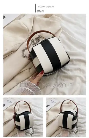 Luxury Chic Mini Bag