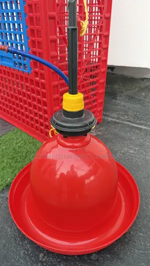 Indian Bell Drinker (Premium ) For High Quality Lovers