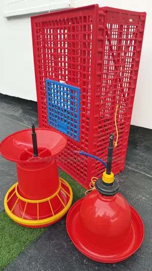 Indian 8kg Jumbo Feeders And Bell Drinkers (Premium Product)