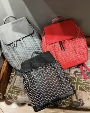 Goyard Alpin Backpack Casual Unisex