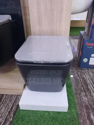 England Standard Wall Hung Water Closet (Wc)