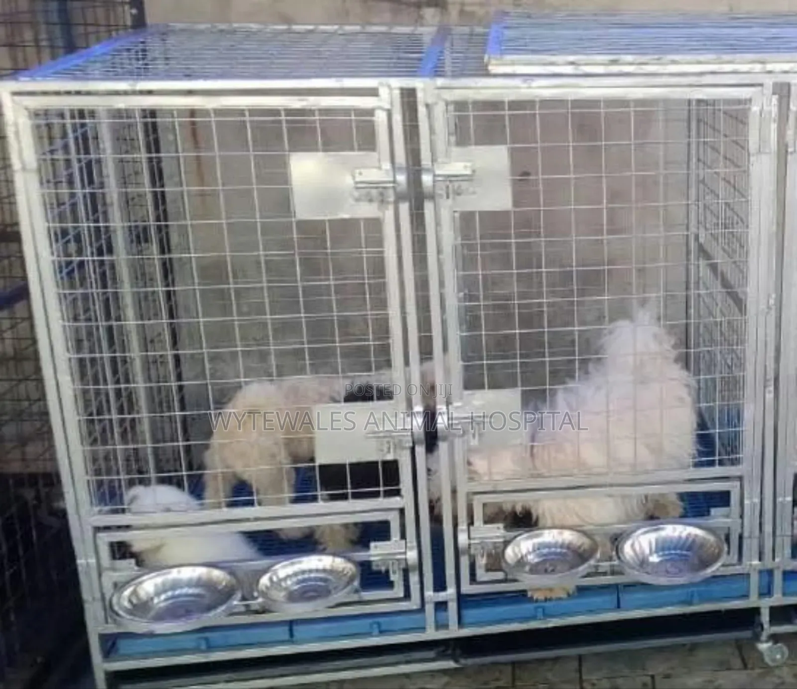Dog Iron Cage