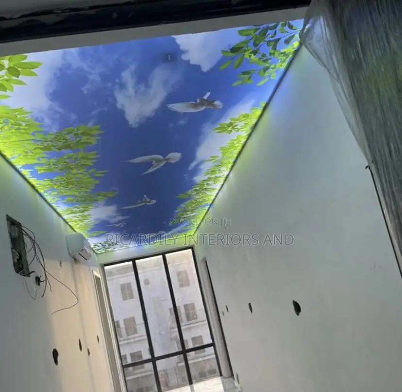 Stretch Ceiling Design