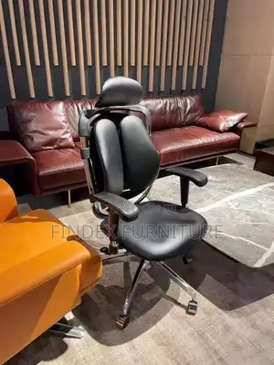 Executive Ergonomic Chair