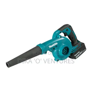 Vacuum Cleaner and Aspirator Air Blower 800w