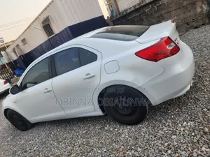 Suzuki Kizashi 2011 White