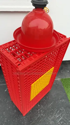 Original Indian Type Transport Crate (Premium Type)