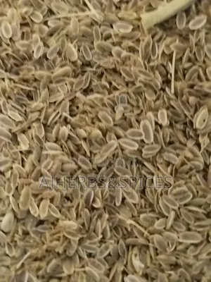 Dill Seeds