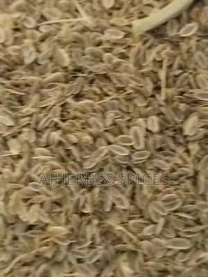 Dill Seeds