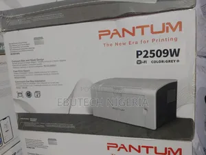 Pantum P2509w Mono Laser Single Function Printer