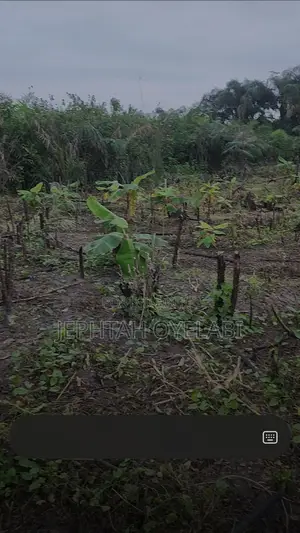 4 Plots of Land for Sale