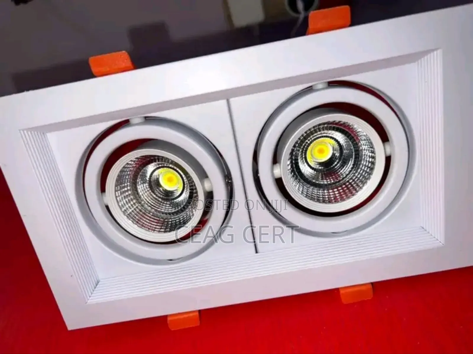 Pop Light With Starter Head