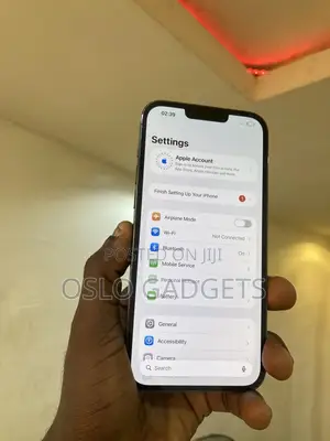 Apple iPhone 13 Pro Max 128 GB Gray