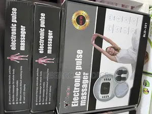 Electronic Pulse Massager