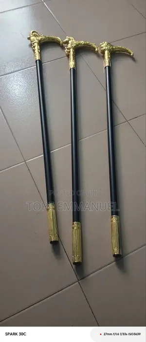Fashionable Walking Stick or Canes
