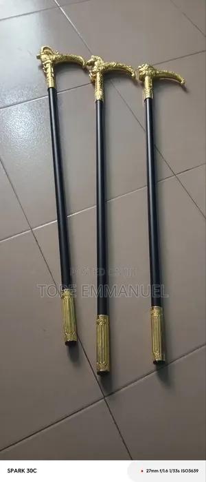 Fashionable Walking Stick or Canes