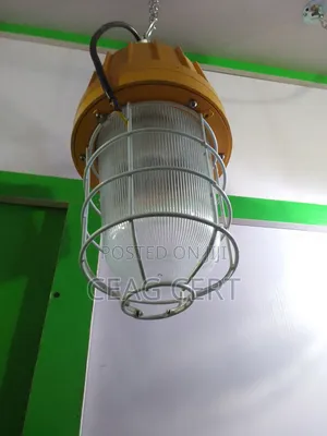 Ex Fire Proof Dropping Light