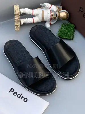Pedro Slippers