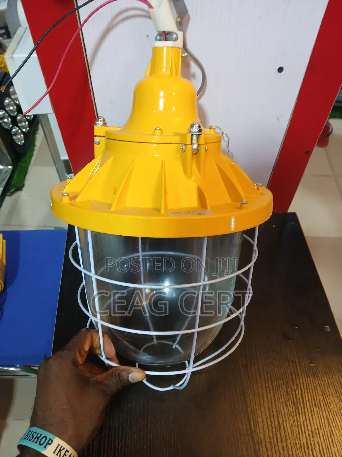 Explosion Proof Dropping Light