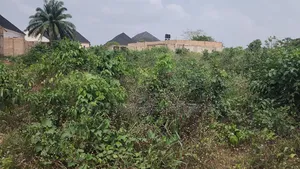 50ft By 100ft For Sale At Amagba Community