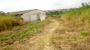 15 Acres of Land