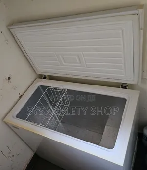 Ever Glades Deep Freezer 205l