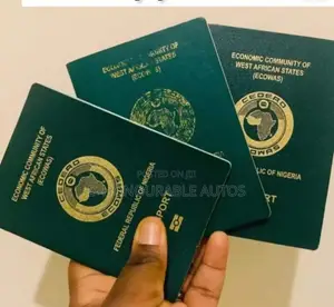 Secure Your International Passport With Us