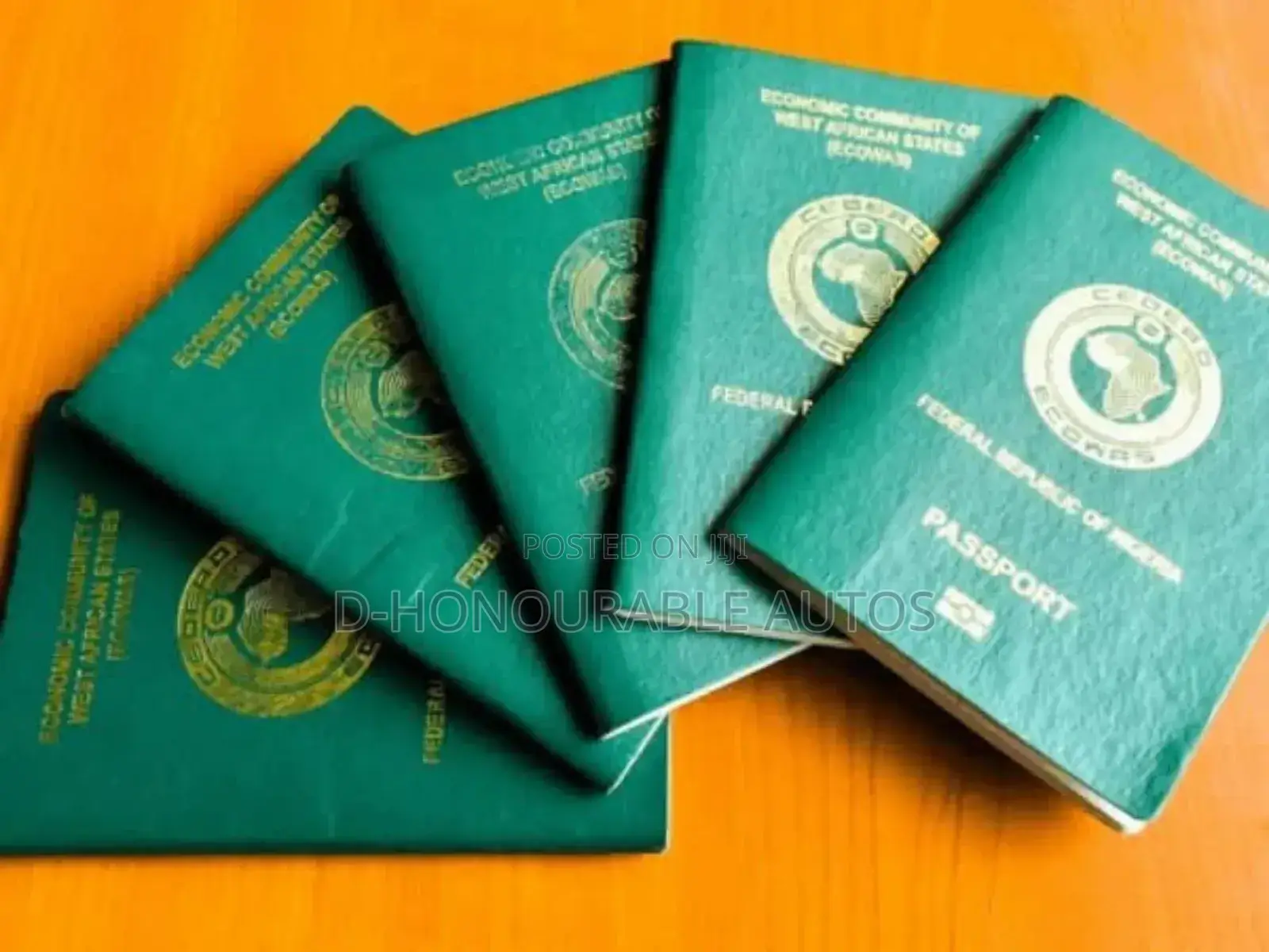 Secure Your International Passport With Us