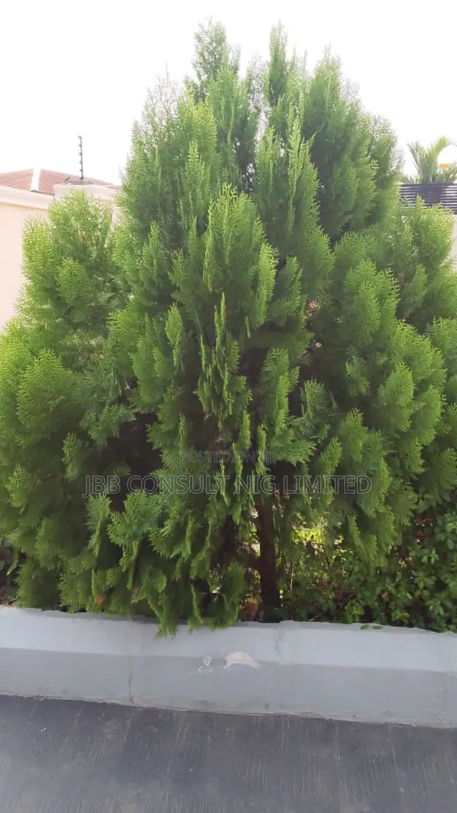 Horticultural Service